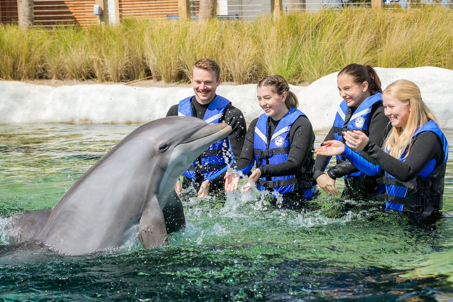 Gulfarium Marine Adventure Park