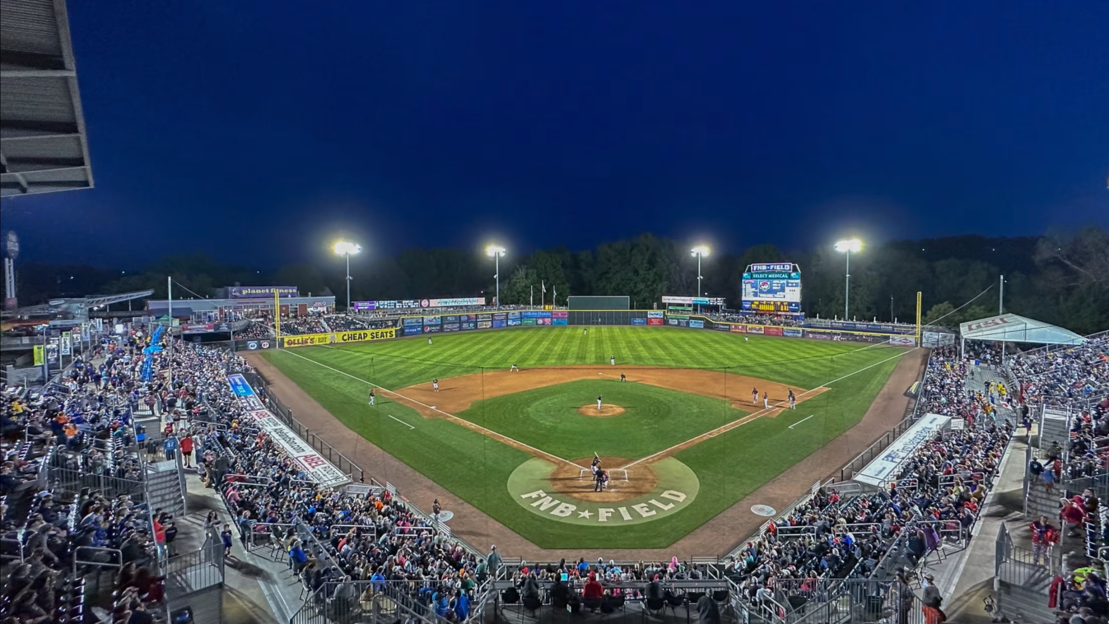 Harrisburg Senators Baseball