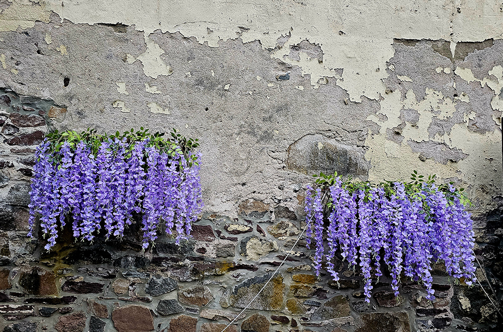 The Carriage House Restaurant & Pub