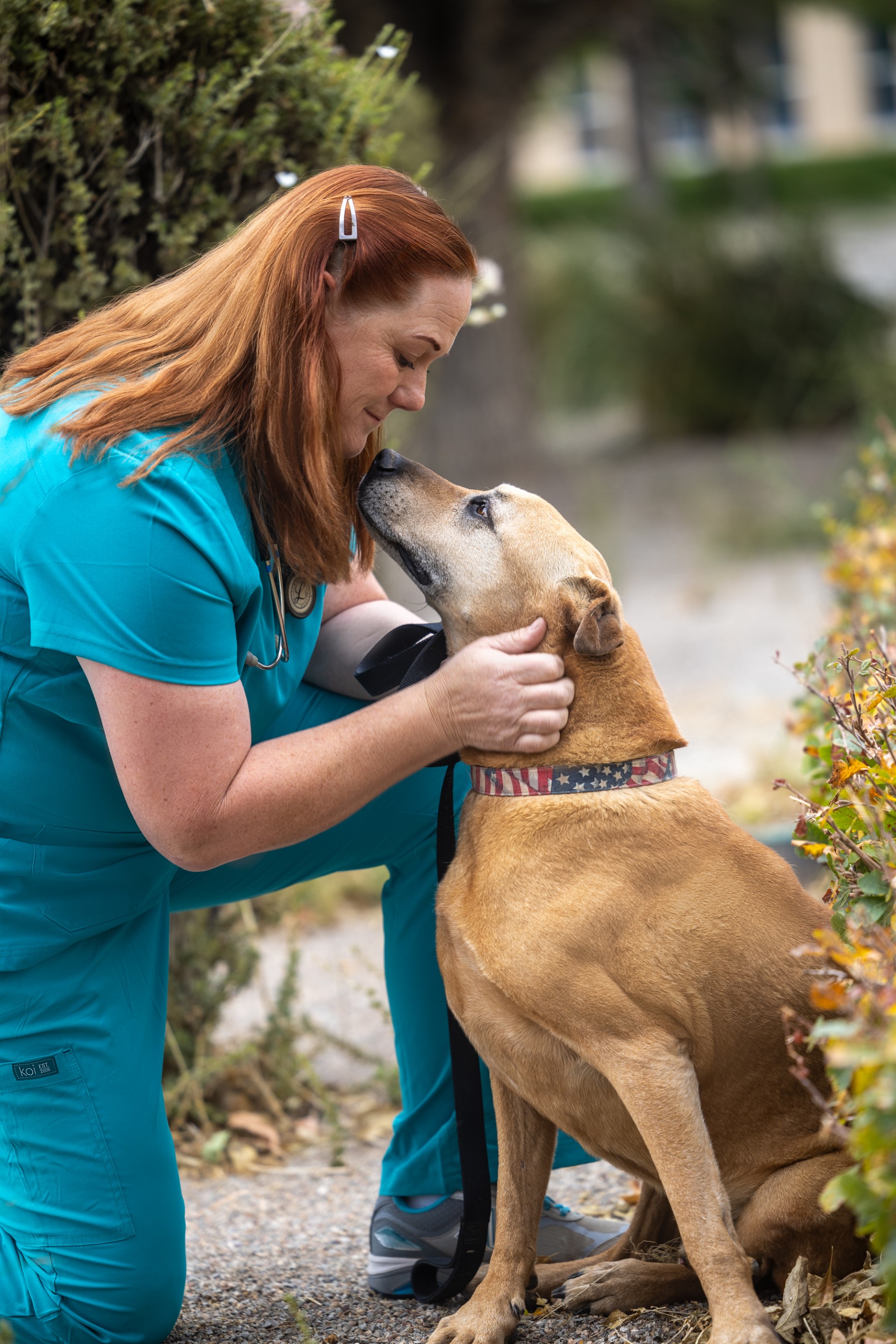 Urgent Veterinary Surgical Suites