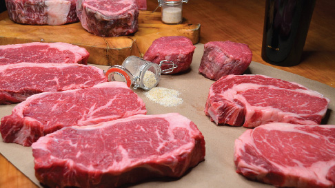 Staycation Toledo - Hollywood Casino and Hilton Garden Inn - Downtown