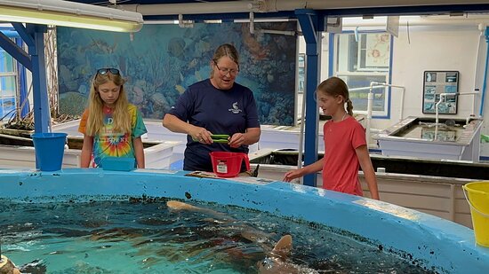 Gulf Specimen Marine Lab