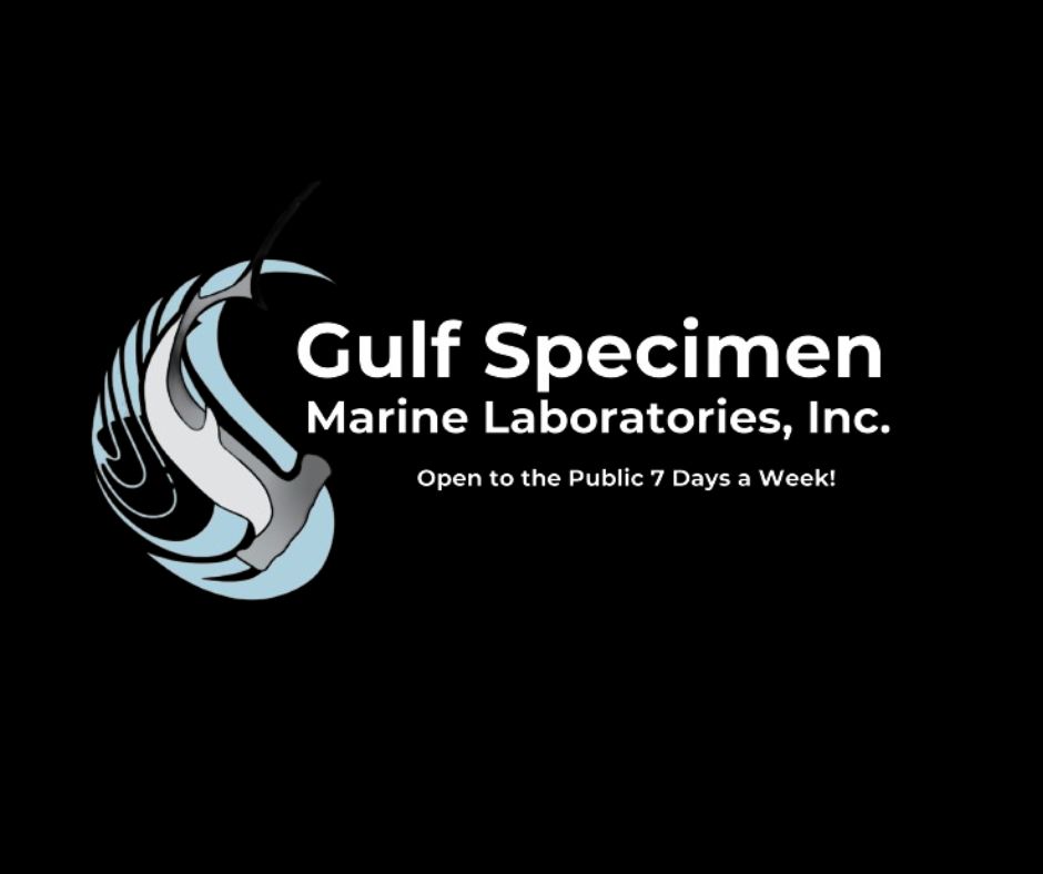 Gulf Specimen Marine Lab
