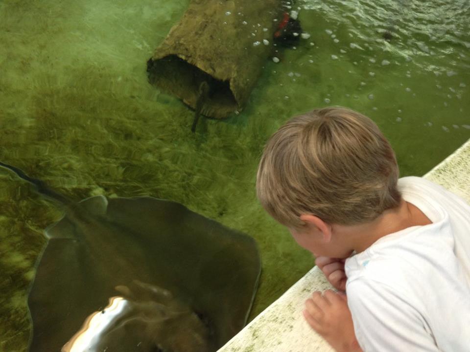 Gulf Specimen Marine Lab