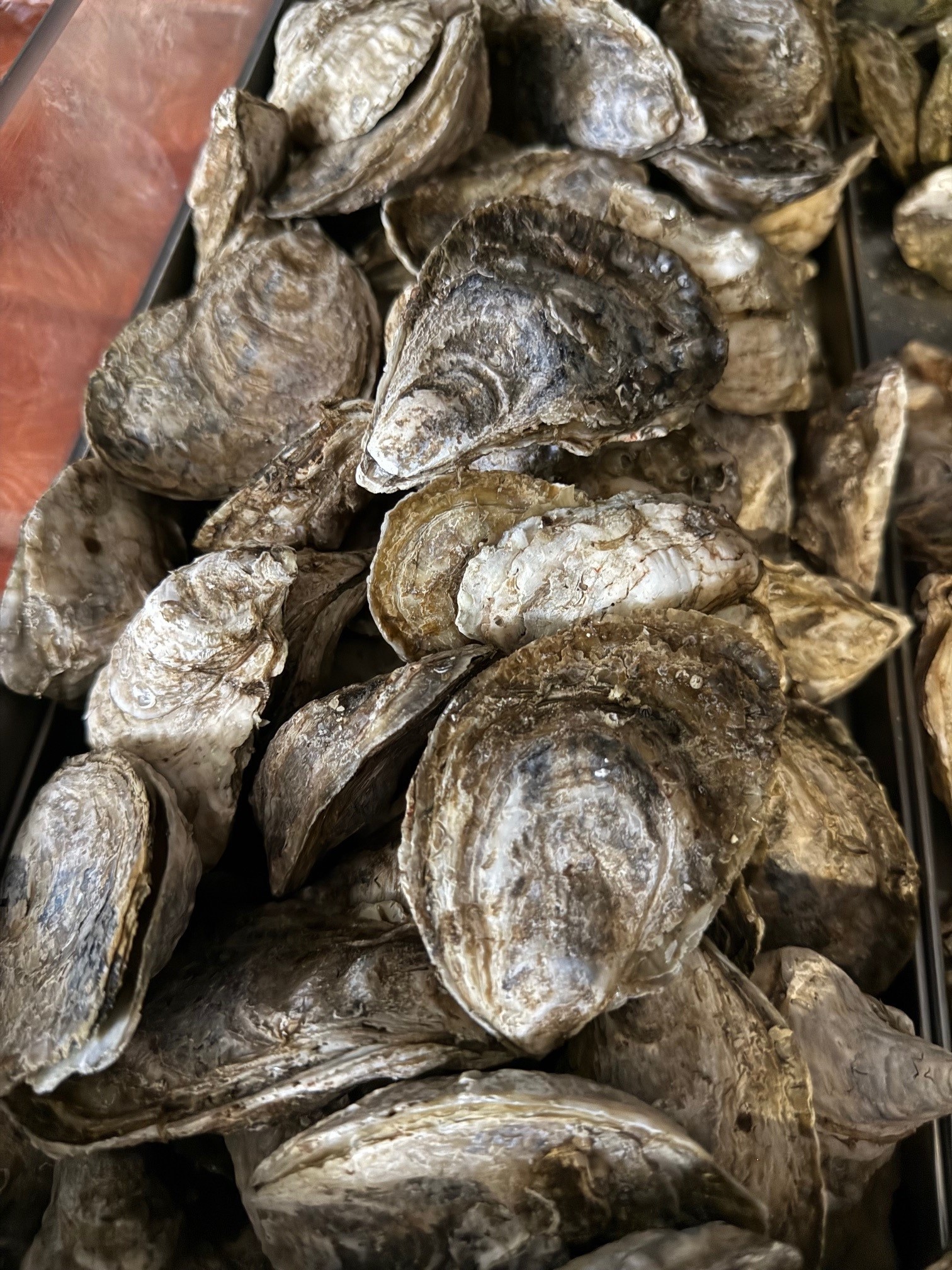 The Marketplace at John Gross