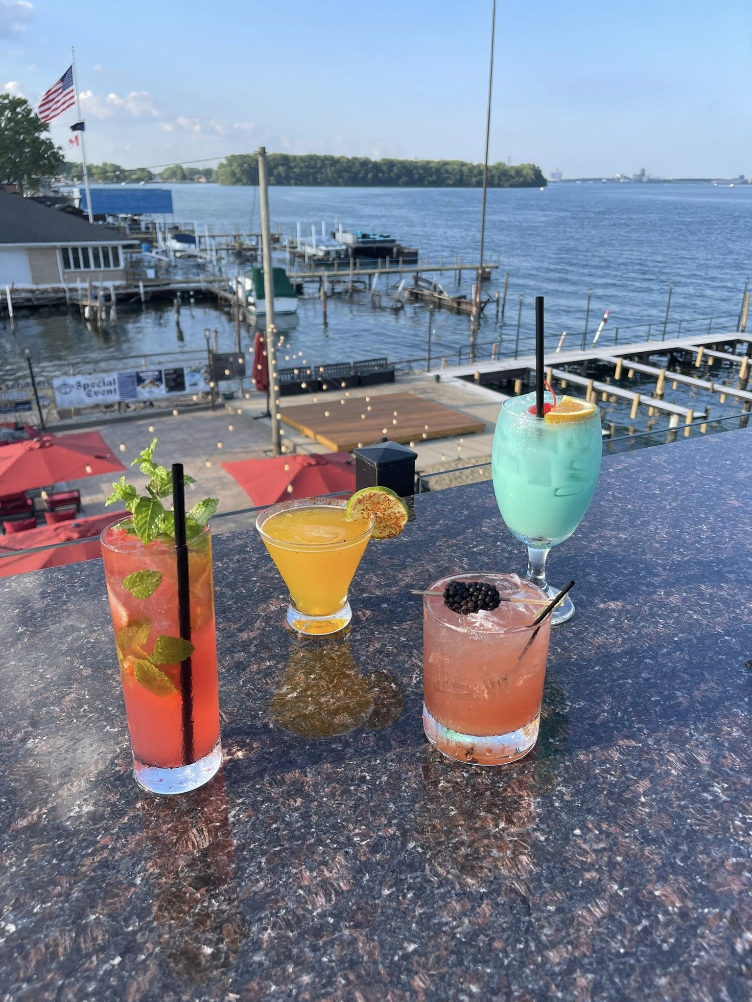 The Waterfront Wyandotte