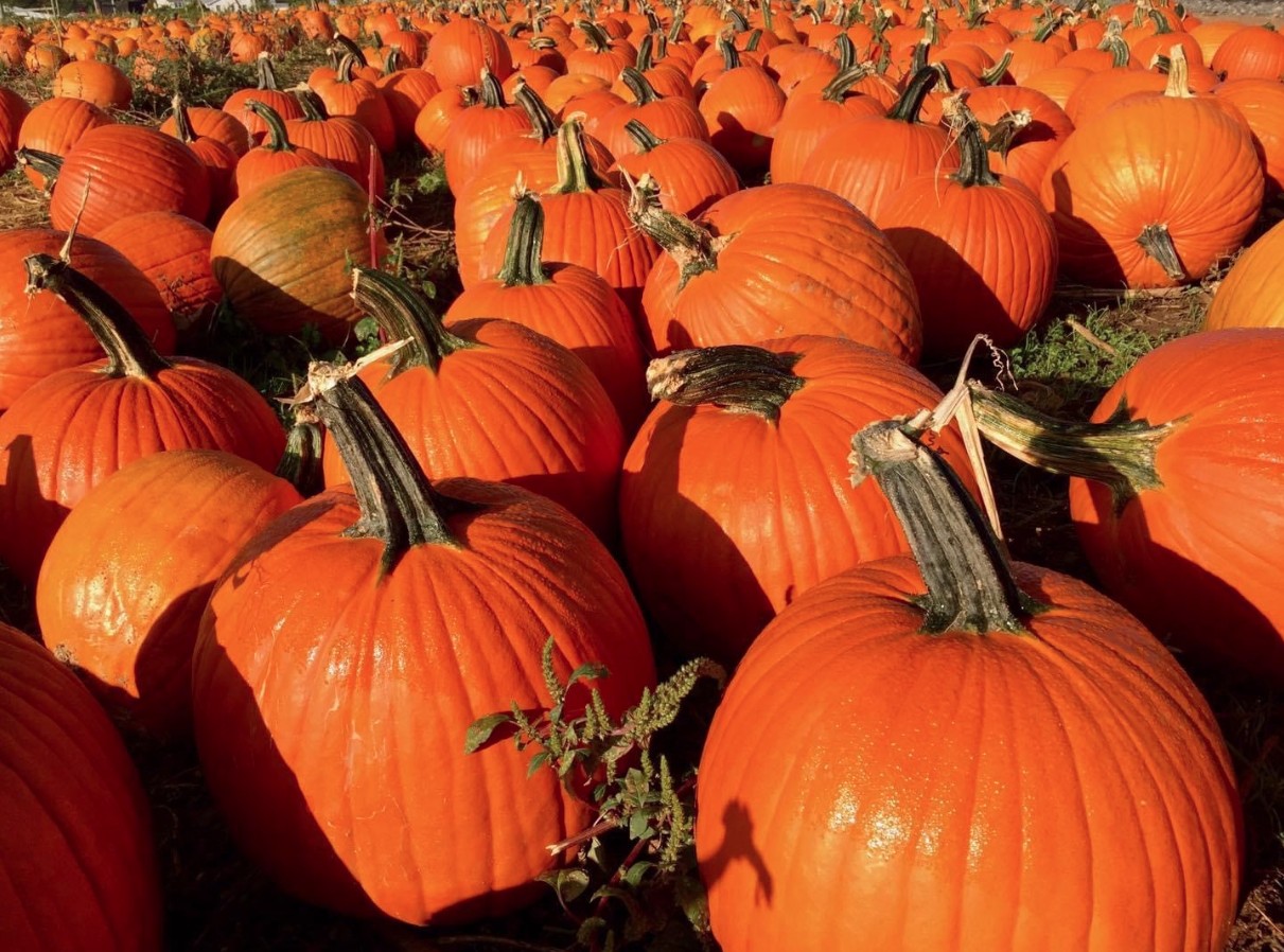 Grim's Orchard & Family Farms 