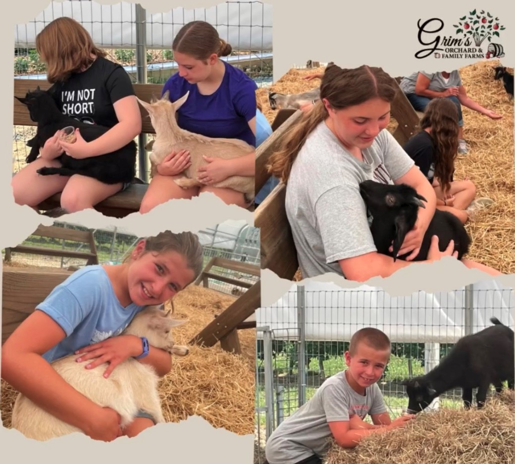 Grim's Orchard & Family Farms 