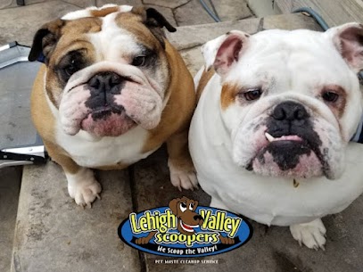 Lehigh Valley Scoopers