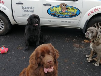 Lehigh Valley Scoopers