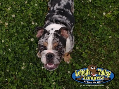 Lehigh Valley Scoopers