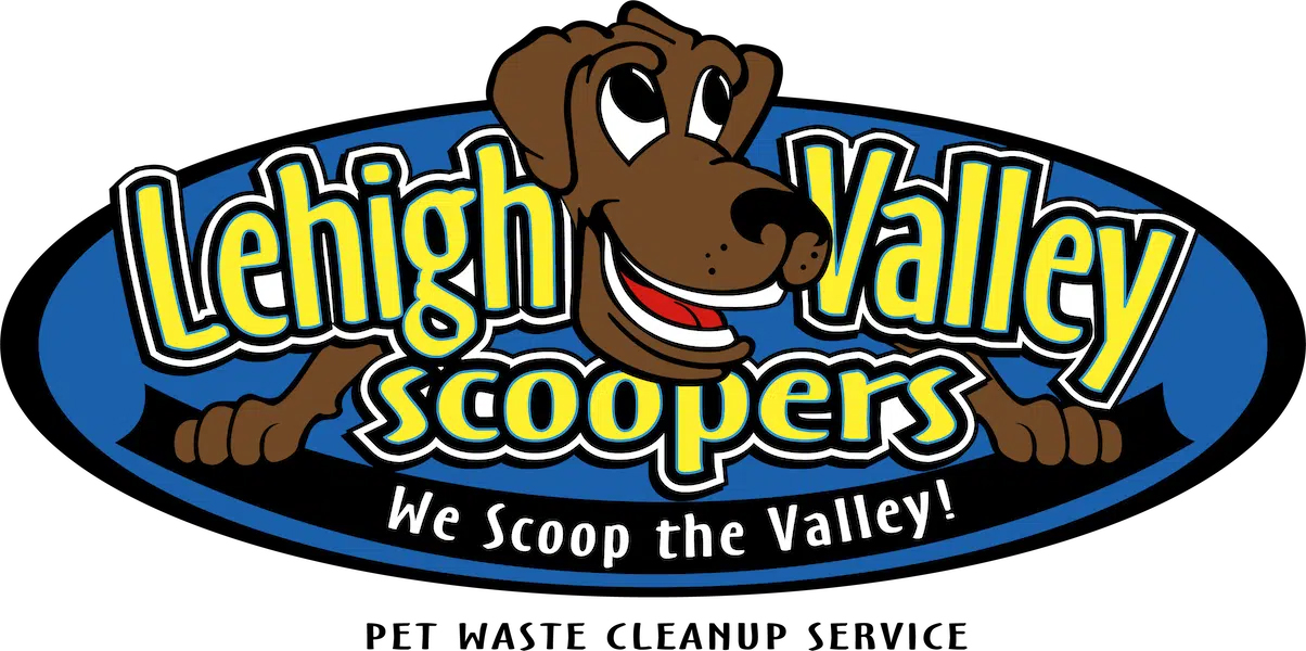 Lehigh Valley Scoopers