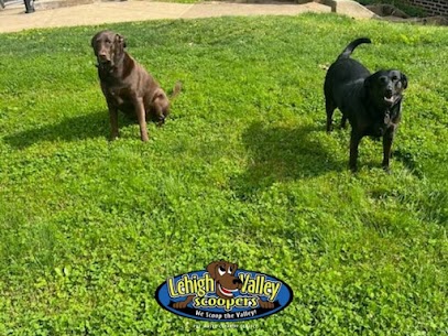 Lehigh Valley Scoopers