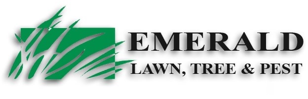 Emerald Lawn, Tree, and Pest