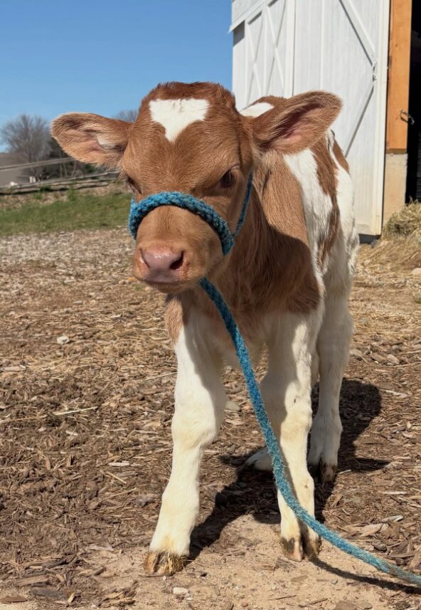Ed Dunneback & Girls Farm