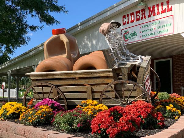 Wiard’s Country Fair: Day Tickets