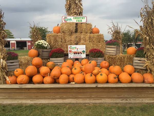 Wiard’s Country Fair: Day Tickets