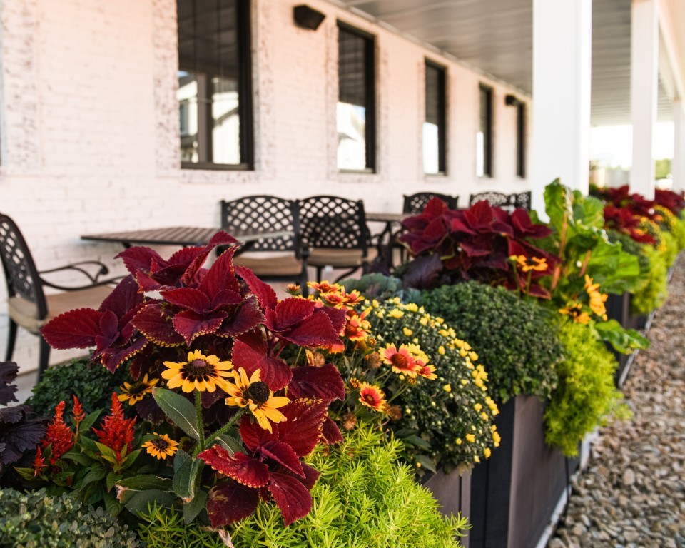 Spear Ridge Cafe