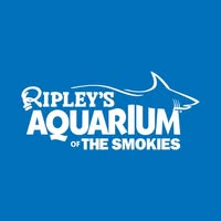 Ripley's Aquarium of the Smokies - Sweet Deals Cumulus