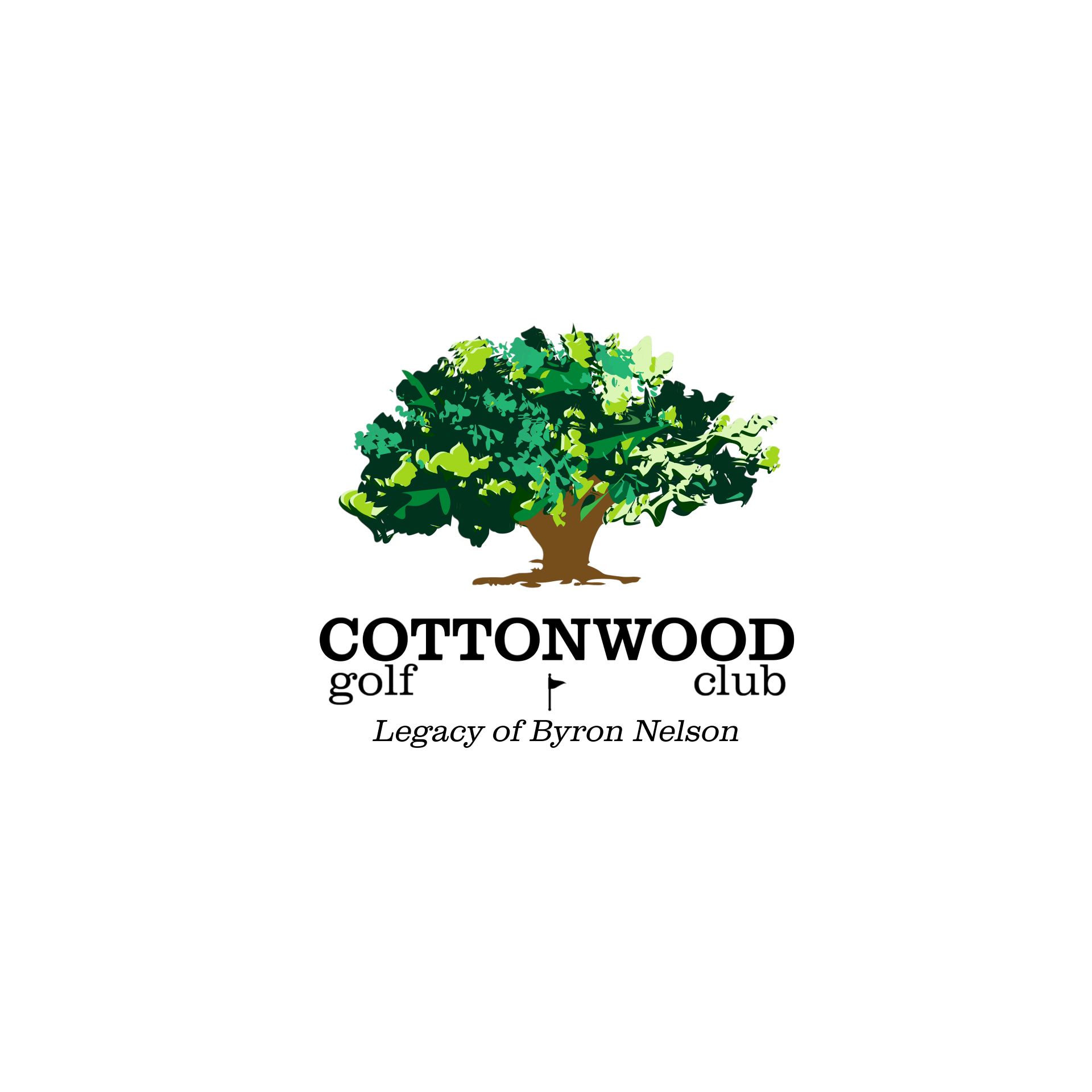 company image